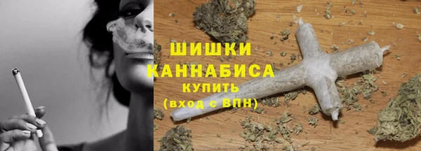 твердый Краснослободск