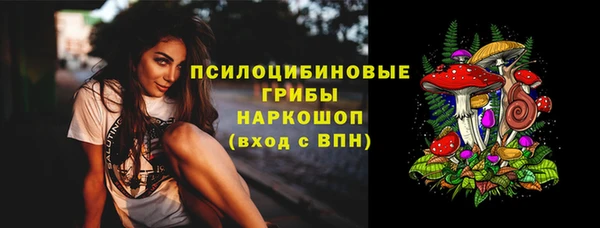 твердый Краснослободск