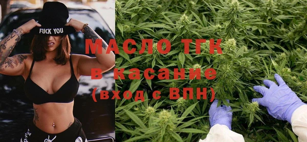твердый Краснослободск