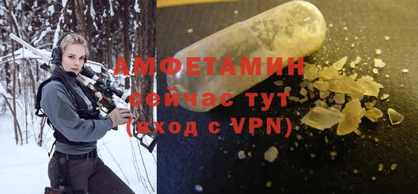 твердый Краснослободск