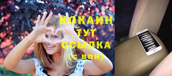 твердый Краснослободск