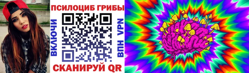 Галлюциногенные грибы Psilocybine cubensis  как найти закладки  Майский 